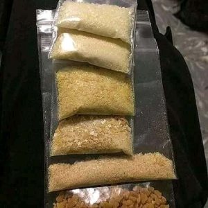 Dimitri (psilocybin DMT)