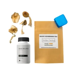 Buy First Timer Magic Mushroom Kit