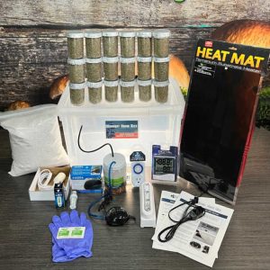 buy mega mushroom incubator kits