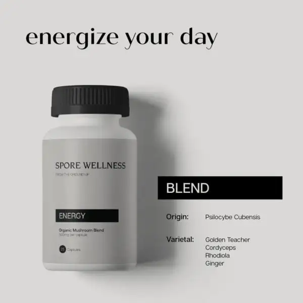 Spore Wellness Energy Microdosing Mushroom Capsules - Image 3