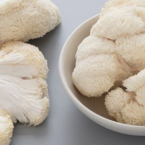 buy lion's mane mushrooms online