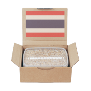 mondo grow kits for sale