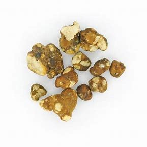 Tampanensis Magic Truffles - Image 2