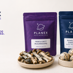 magic mushroom store