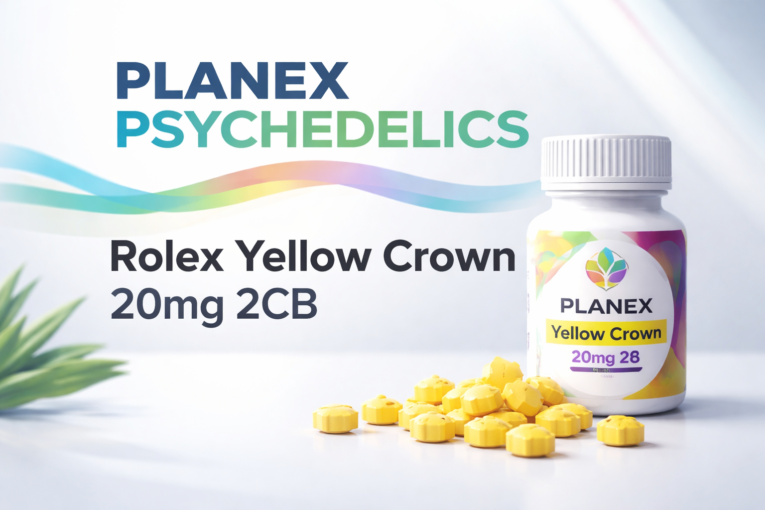 Rolex XTC Pills for Sale Online: The Ultimate Guide to Rolex Yellow Crown 20mg 2CB