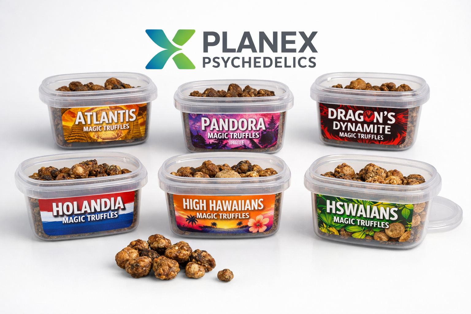 Magic Truffles Online Shop: Your #1 Source for Premium Psilocybin Sclerotia