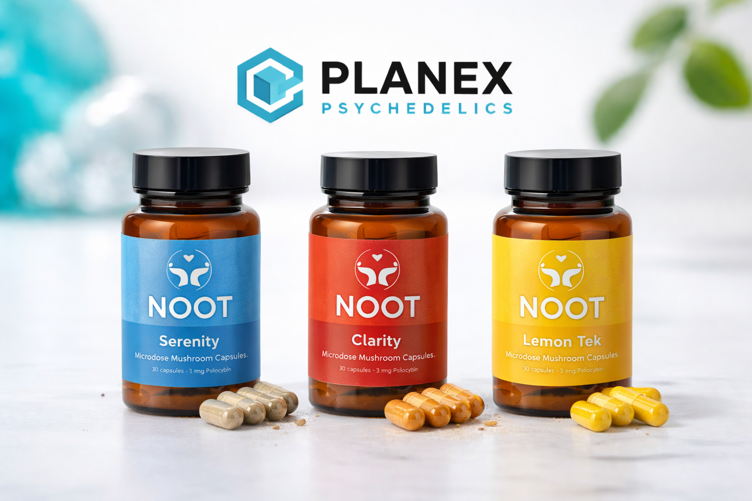 10 Life-Changing Reasons to Buy NOOT Mushroom Capsules for Ultimate Mental Clarity