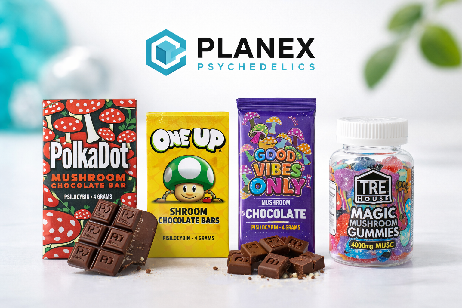 Where to Buy Mushroom Chocolate: The Ultimate Guide to Premium Magic Mushroom Edibles