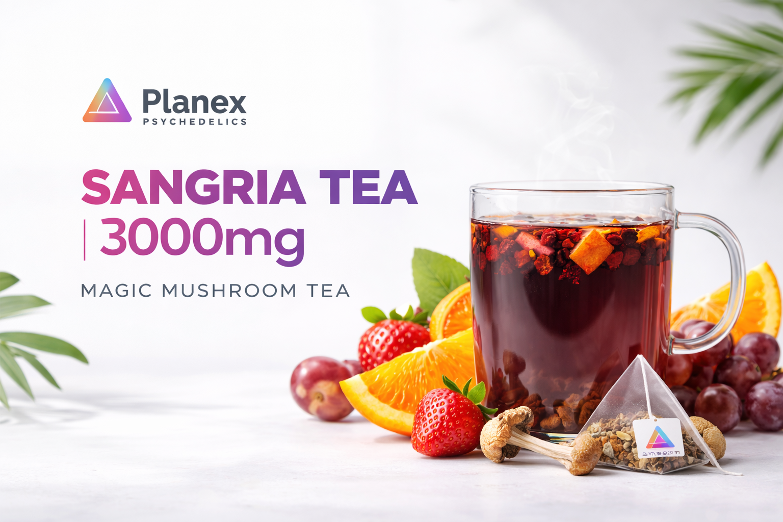 Sangria Tea Shop: Your Ultimate Destination for Refreshing Herbal Blends